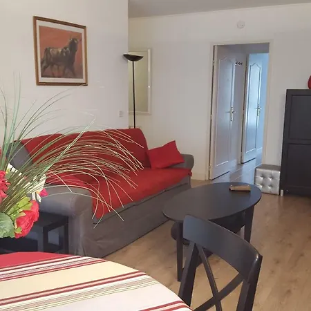 Appartement Hypercentre T2 Equipe + Garage